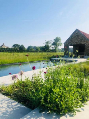 Schuurloft Hof ten Bogaerde met biozwembad, veldzicht & uilennest